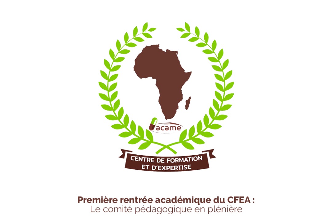 Première rentrée académique du CFEA : Le comité pédagogique en plénière
